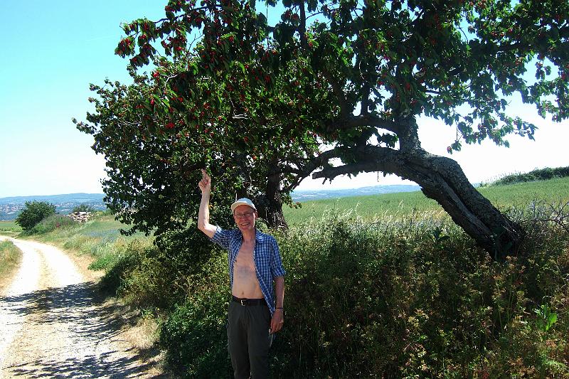 2011-05- (361).JPG - Auch Kirschbäume am Wegesrand begleiten uns nicht nur auf dieser Etappe: C'est le temps de cerises